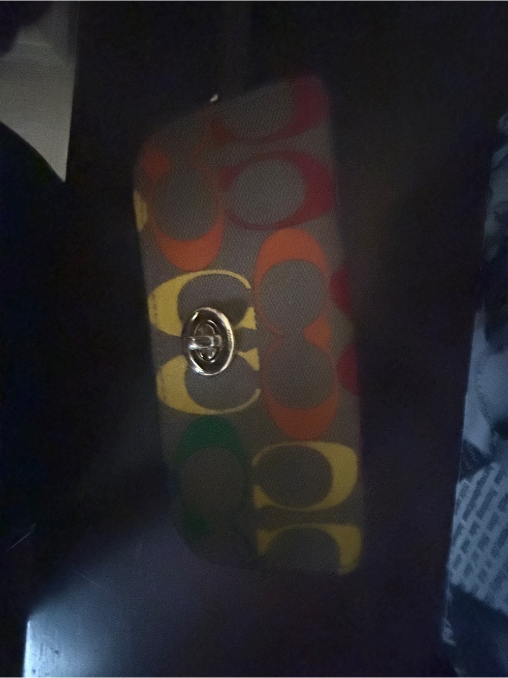 Coach Multicolor Signature Canvas EyeGlass Case Pride rainbow - Picture 3 of 4
